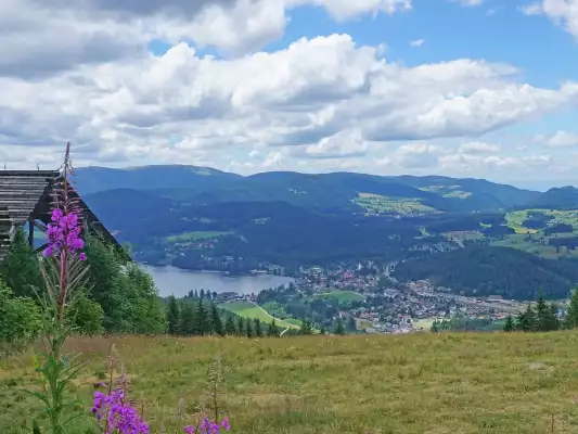 Ein Motorradfahrer auf der Schwarzwald Hochstraße